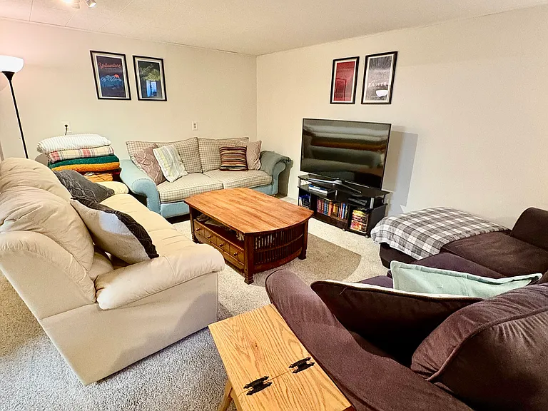 Cozy family room