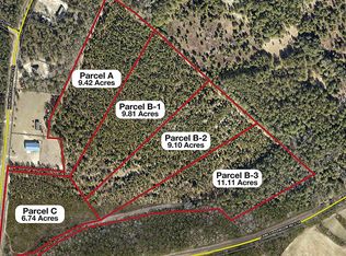 Holiness Church Rd PARCEL C, Wagener, SC 29164