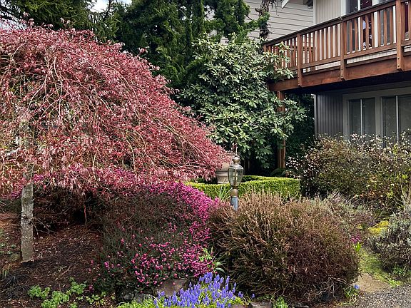 3rd image of 18821 SE 42nd St