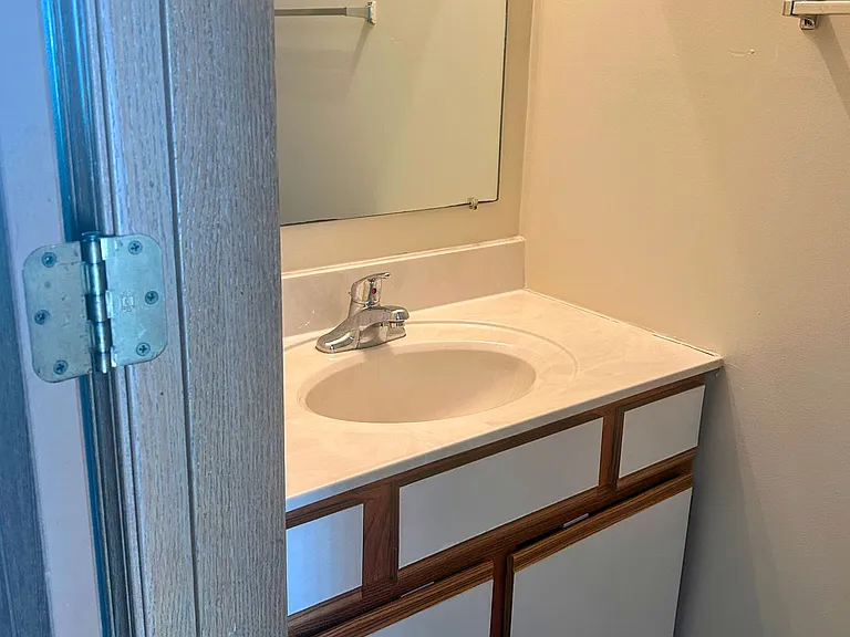 Downstairs half bathroom sink