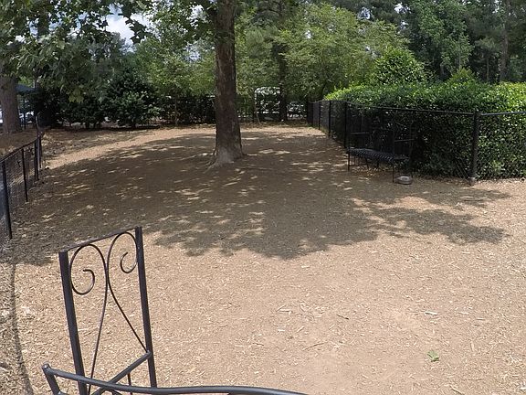 Dog Park 