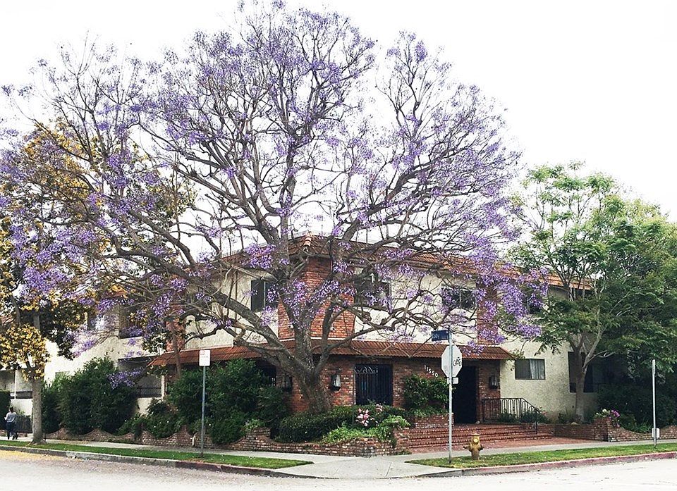 1st image of 11550 Nebraska Ave APT 102