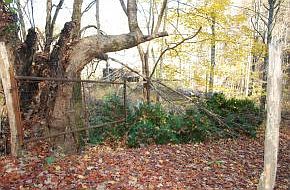 3rd image of 301 Morris Ln