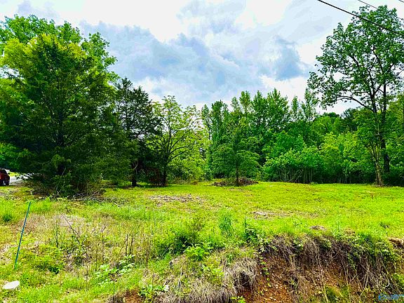 2nd image of 741 County Road 325