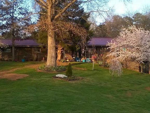 lower front yard