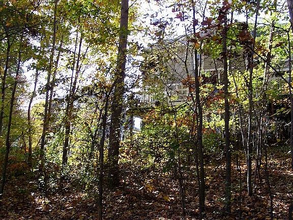 The back of home taken fromLake Audubon Lake path  