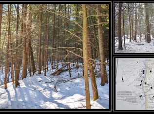 22 Carriage Knolls Road, Chestertown, NY 12817