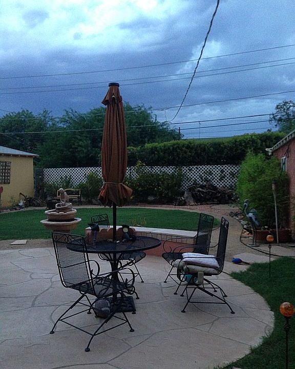 designed backyard