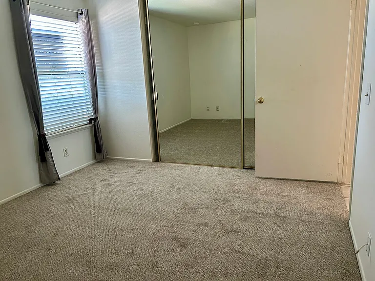 446 Orange Blossom — Photo 11