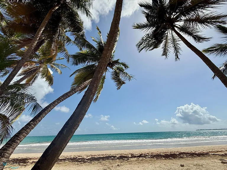 3715 Avenue Isla Verde #5G — Photo 9