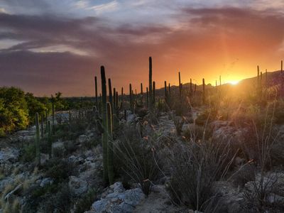 14770 E Redington Rd, Tucson, AZ, 85749