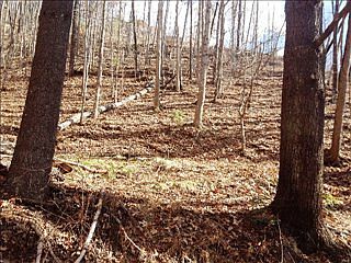 1st image of 227 Pelohi Cove Dr
