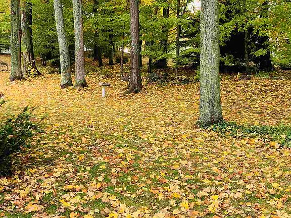 3rd image of 2 Grove Hill Ct