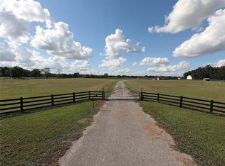 31805 Orange St, Sorrento, FL 32776