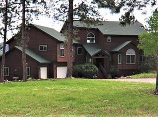 163 Old Corral Rd, Bailey, CO 80421