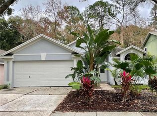 8539 Manassas Rd, Tampa, FL 33635