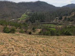 00 Sandy Mush Rd #2, Leicester, NC 28748