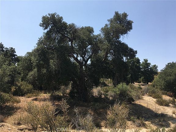 3rd image of 35010 Willow Creek Rd