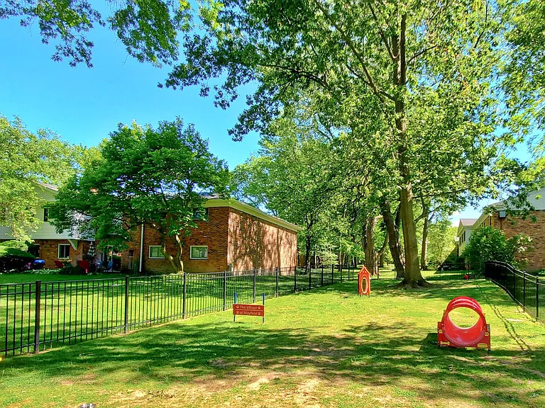 Bark Park