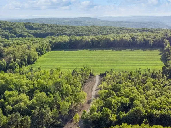 SKUNKS MISERY Lot 1 Road, Millerton, NY 12546