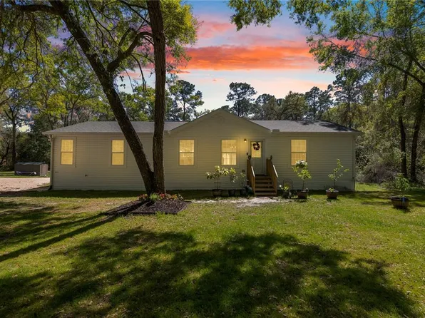 16244 NE 60th St, Williston, FL 32696