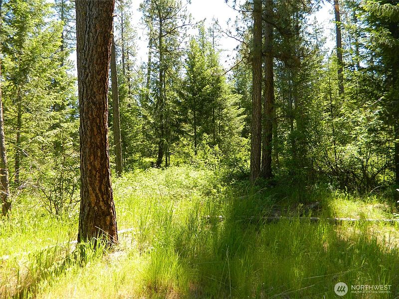 3rd image of 0 Tbd Murphy Ranch Road