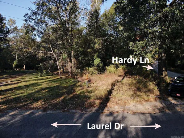 Hardy Ln, Bismarck, AR 71929