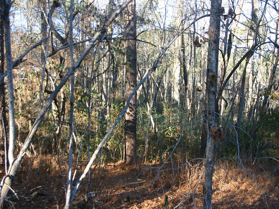 2nd image of 85 Bridle Path Cir