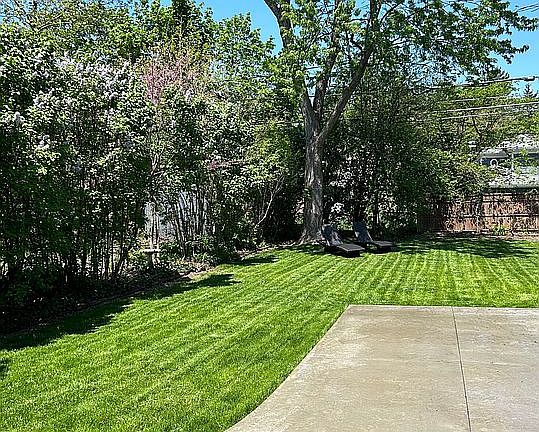 Back yard looking north
