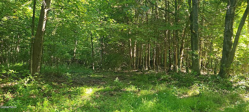 5th image of 395 Cook Road