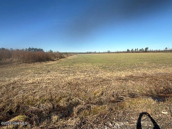 3rd image of 2020 N Carolina 903