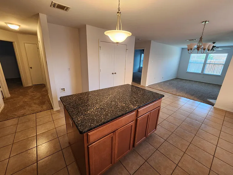 1203 Pine Forest Dr — Photo 2
