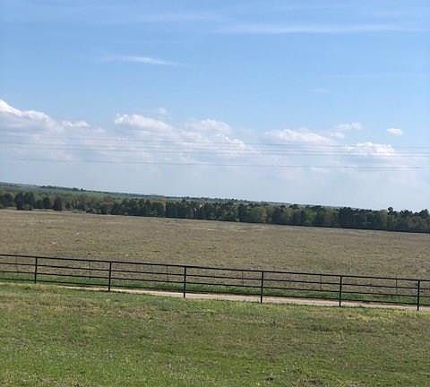 4th image of 8334 County Road 448