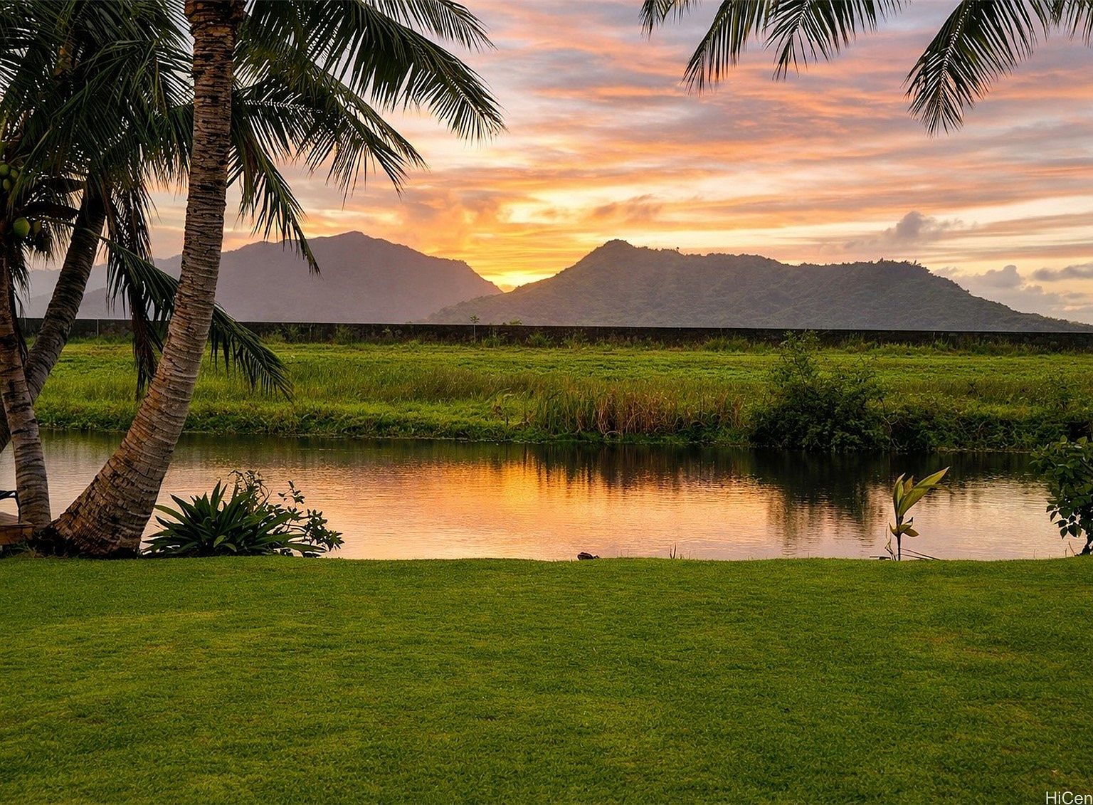 259A Kihapai St, Kailua, HI 96734 | Zillow