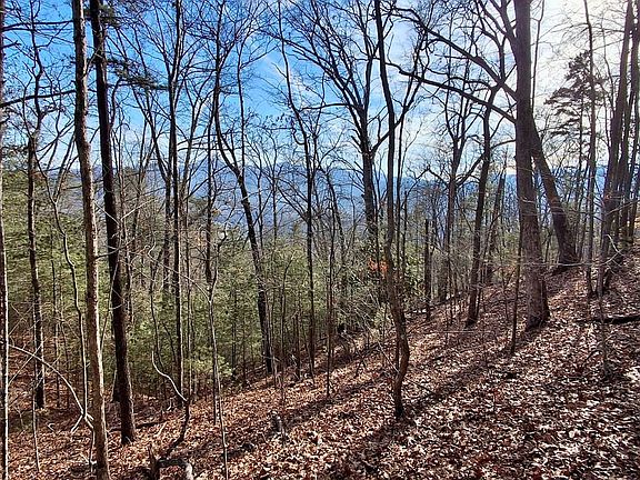 20260205 154450moses