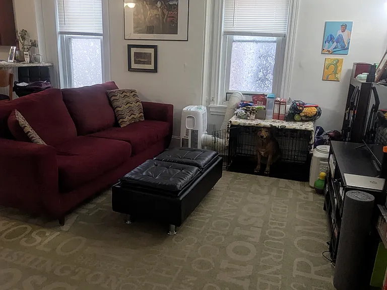2 big windows in the livivng room have frosted bottom panes for privacy