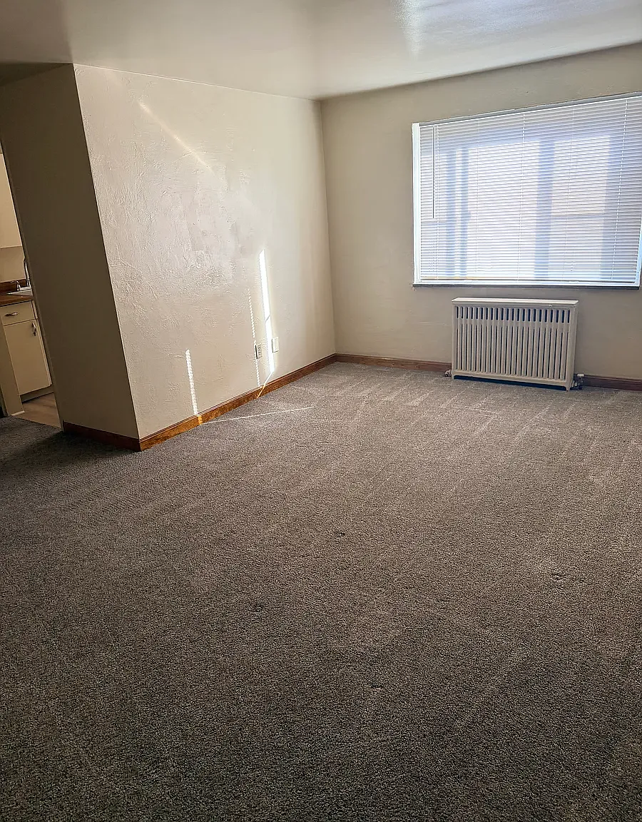 1 bed, $925 — Photo 4