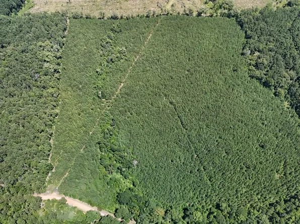 Reitzell Rd Lot Wp001, Grayson, LA 71435
