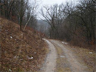 3rd image of 398 Patterson Creek Dr