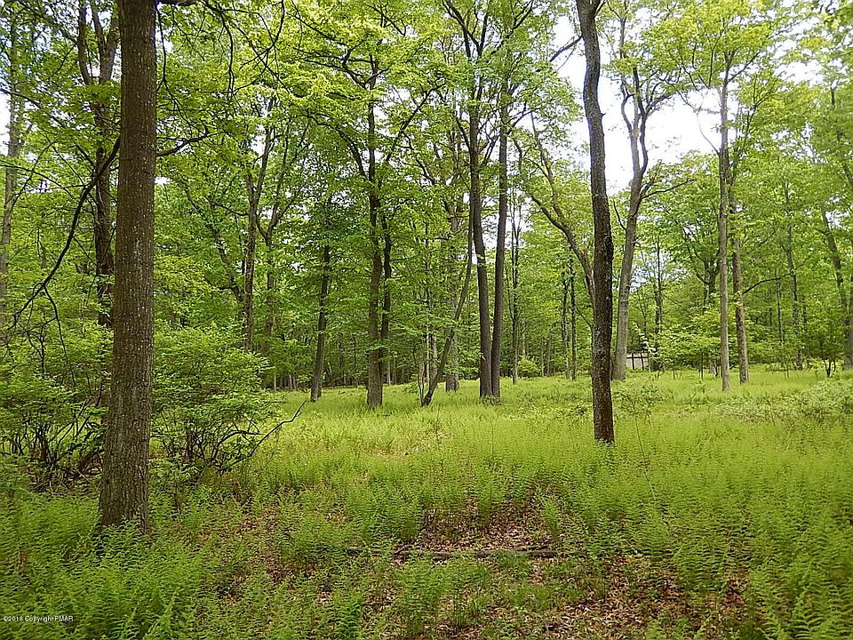 1st image of Pasternak Ln