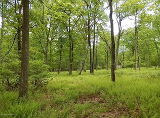 Pasternak Ln, Albrightsville, PA 18210