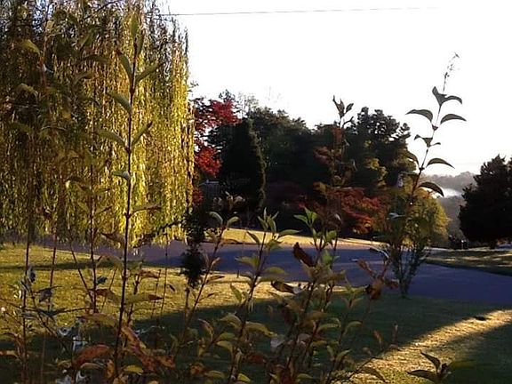 Morning Coffee view.