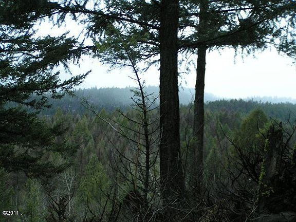 5th image of 116 Little Mountain Ln