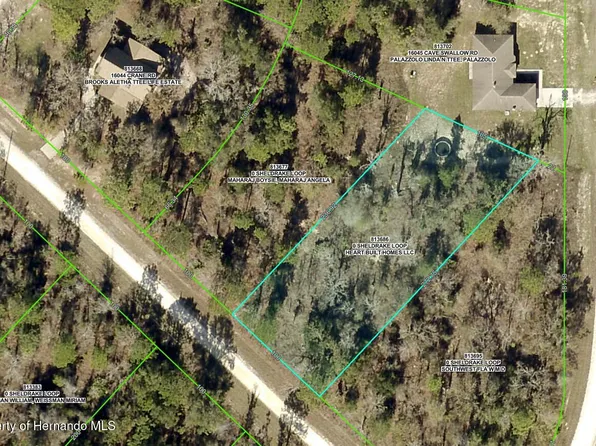 0 Sheldrake Loop, Brooksville, FL 34614