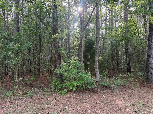 0 Sable Ln, Huger, SC 29450