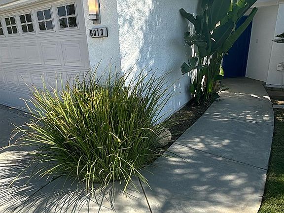 3rd image of 6013 Ragusa Ln