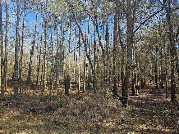 5th image of 0 Red Rd Lot 10