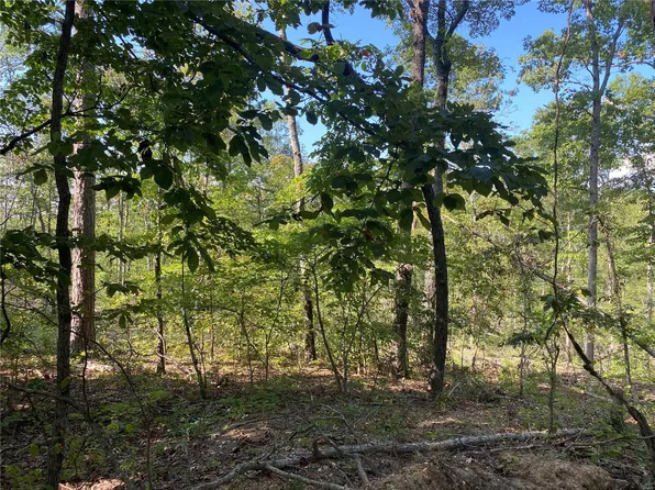 0 County Road 564, Van Buren, MO 63965