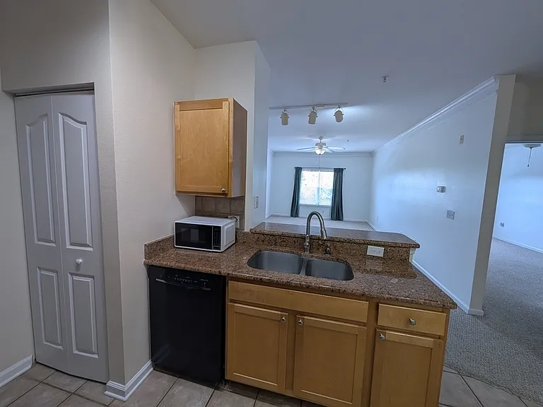 4207 S Dale Mabry Hwy #7309 — Photo 5