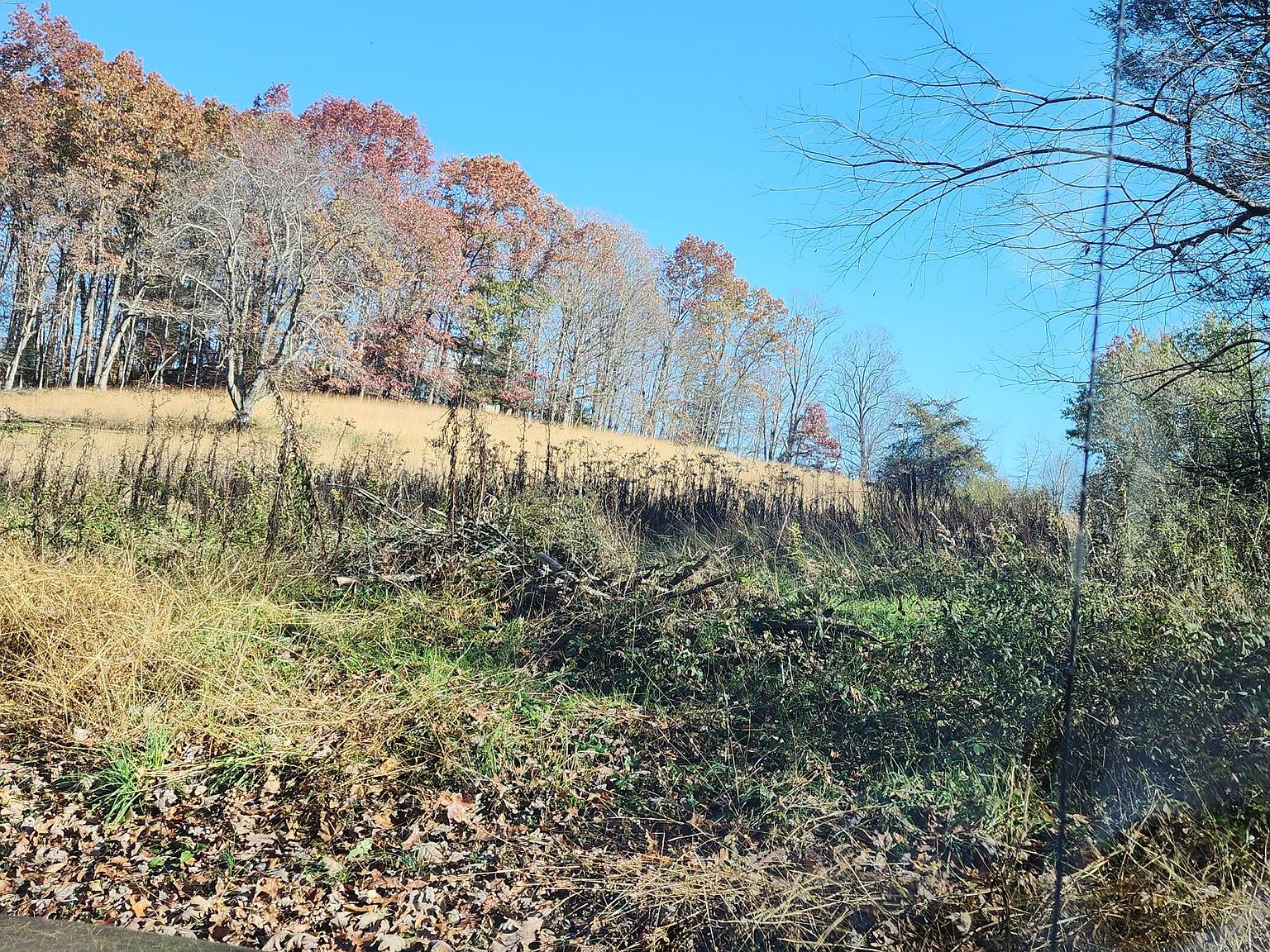 0 Kentucky Rd, Summersville, WV 26651 Zillow